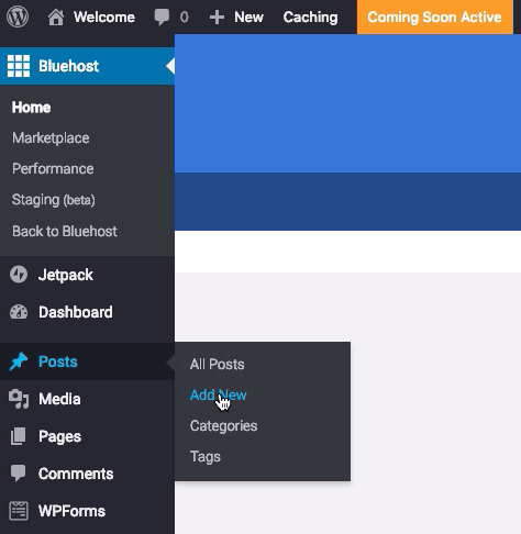 Bluehost Add New Post