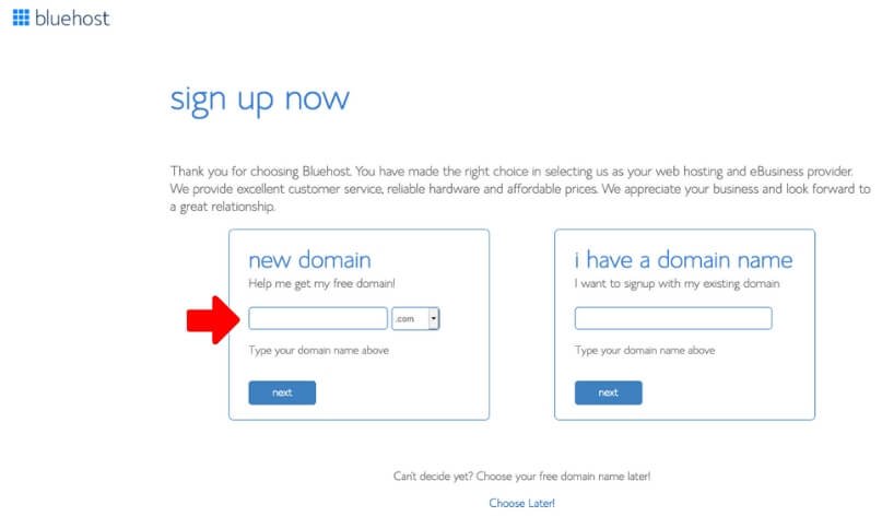 Bluehost Choose Domain