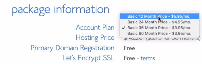 Bluehost Package Choice